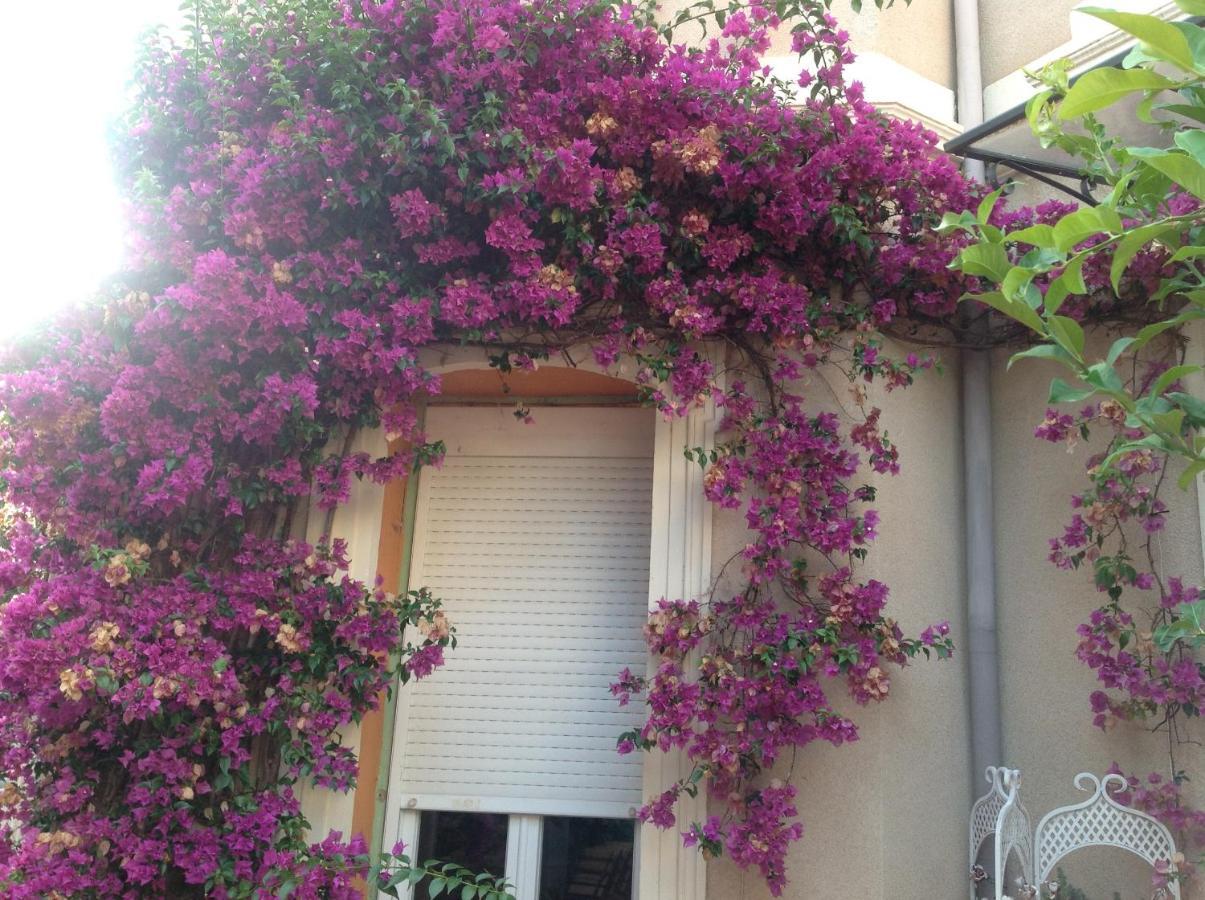 A L'Ombre Du Cedre Otel Hyères Dış mekan fotoğraf