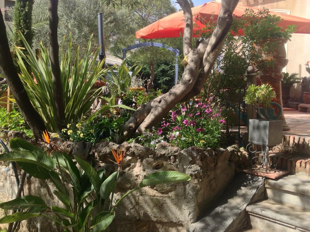A L'Ombre Du Cedre Otel Hyères Dış mekan fotoğraf