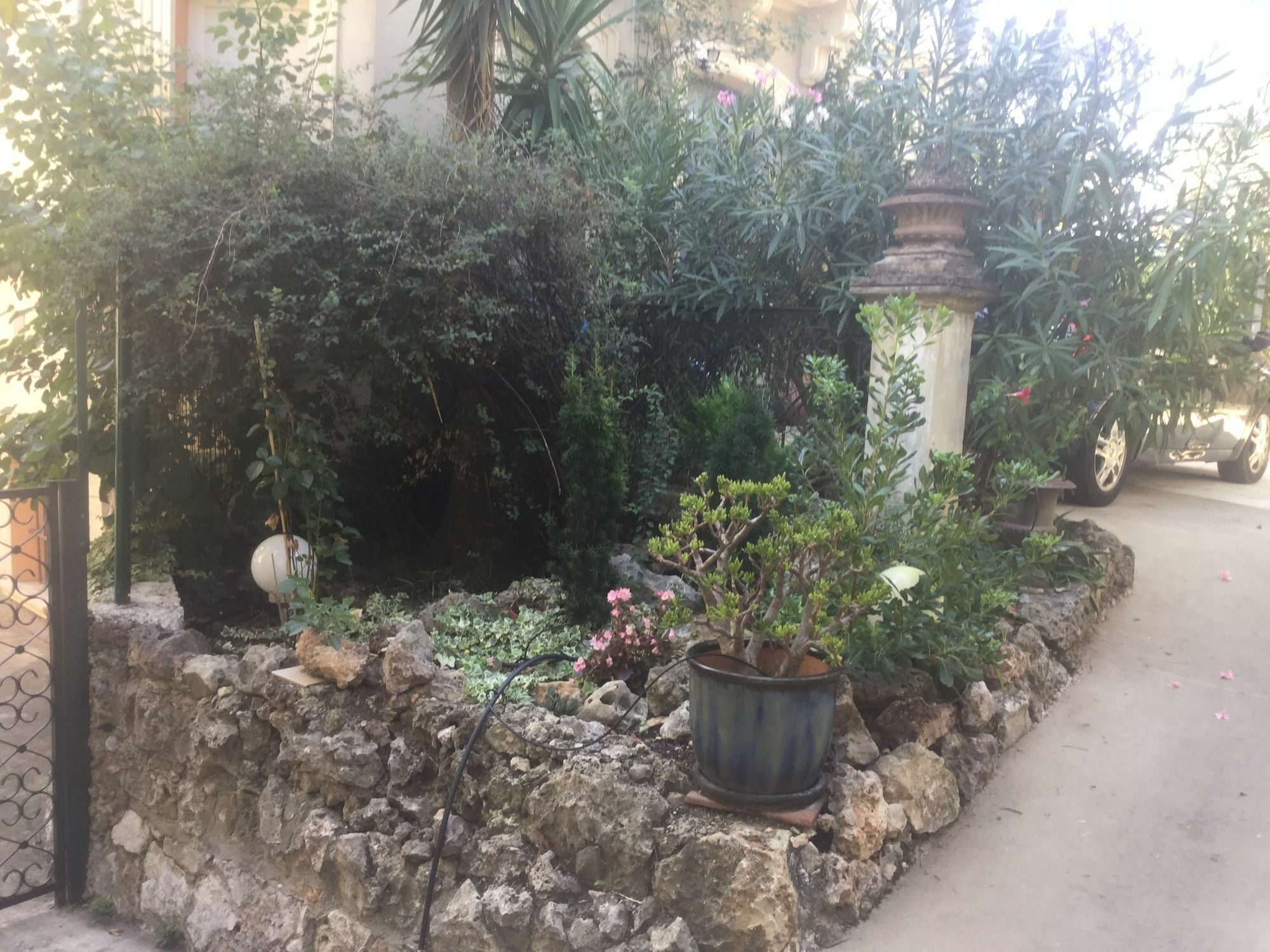 A L'Ombre Du Cedre Otel Hyères Dış mekan fotoğraf