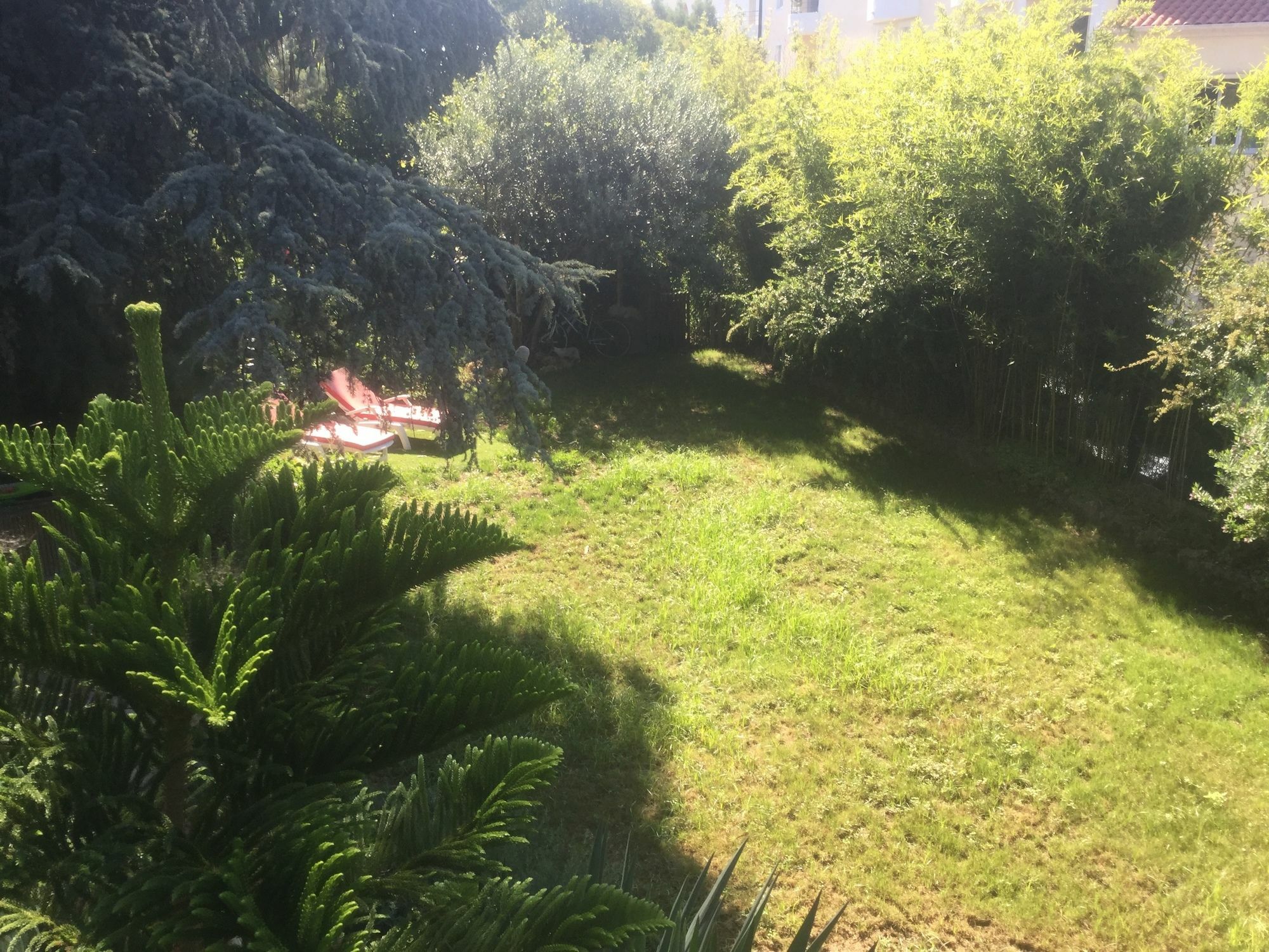 A L'Ombre Du Cedre Otel Hyères Dış mekan fotoğraf