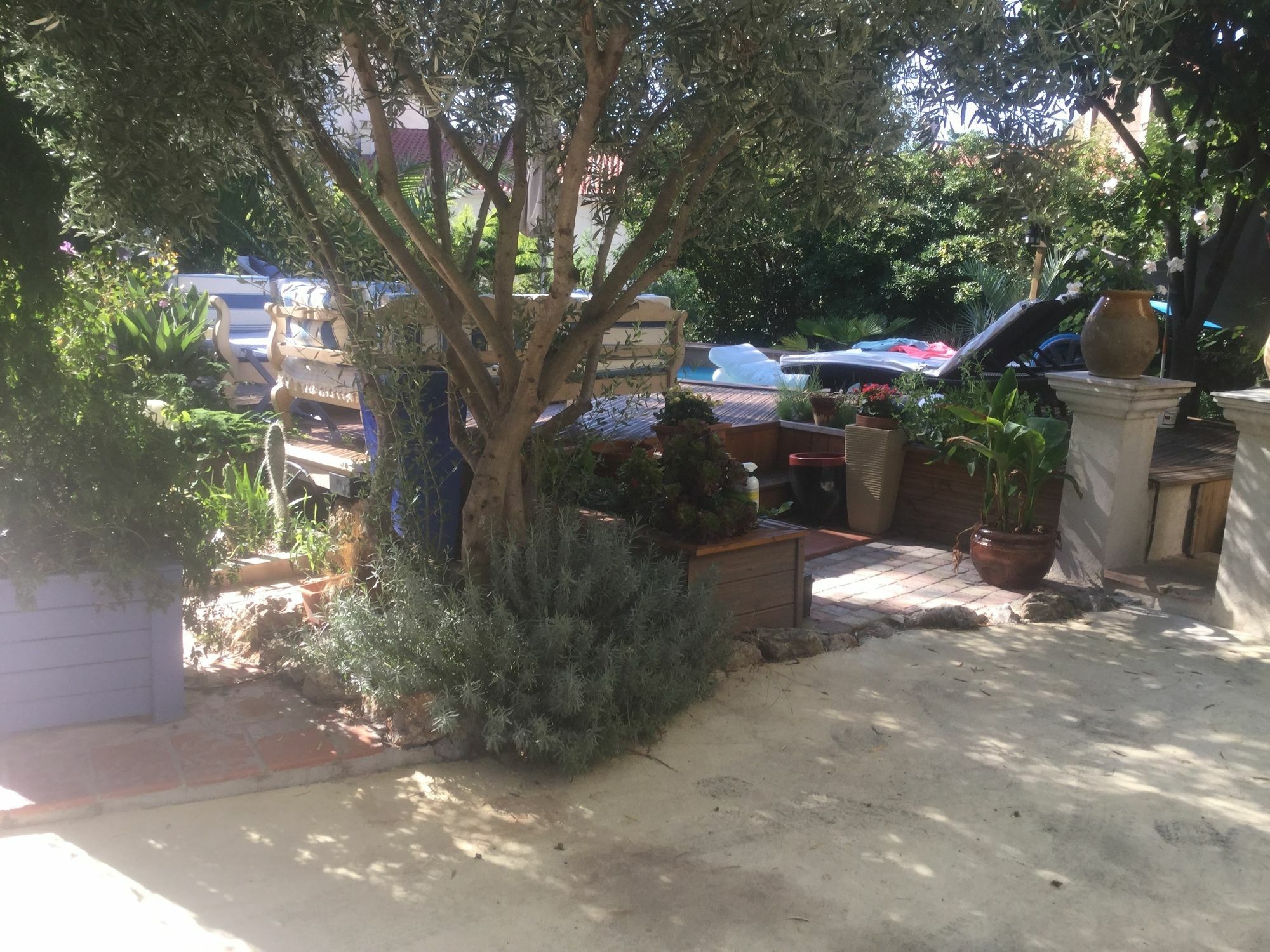 A L'Ombre Du Cedre Otel Hyères Dış mekan fotoğraf