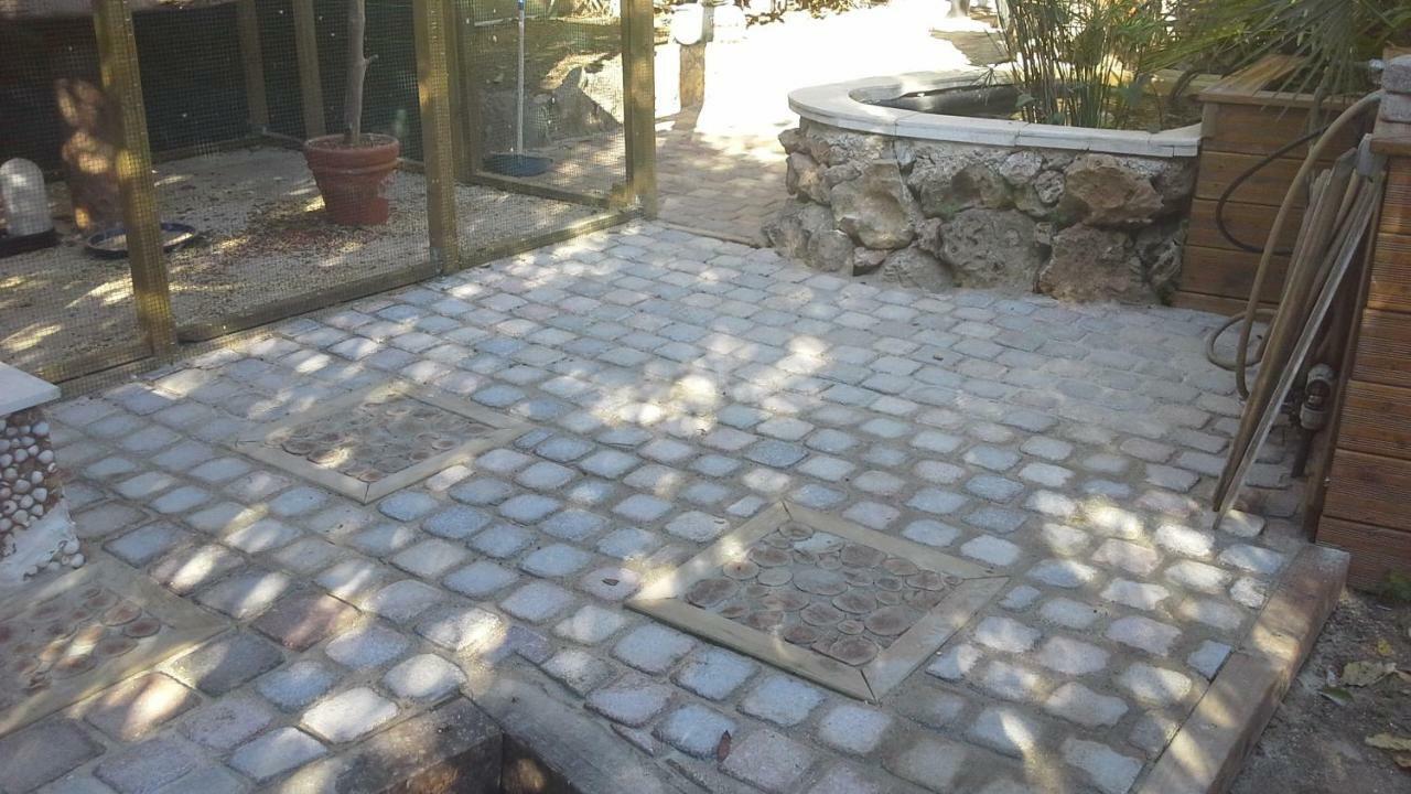 A L'Ombre Du Cedre Otel Hyères Dış mekan fotoğraf
